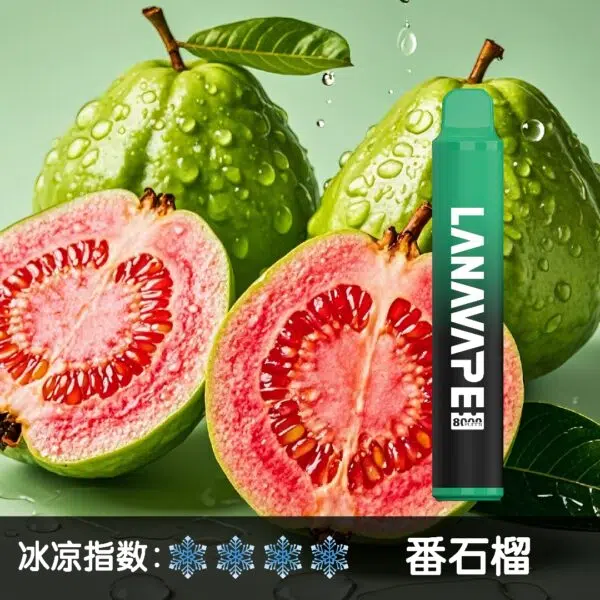 LANA8000口番石榴-600x600jpgwebp - 拓撲蒸汽空間 ILIA-TOP 台灣官網